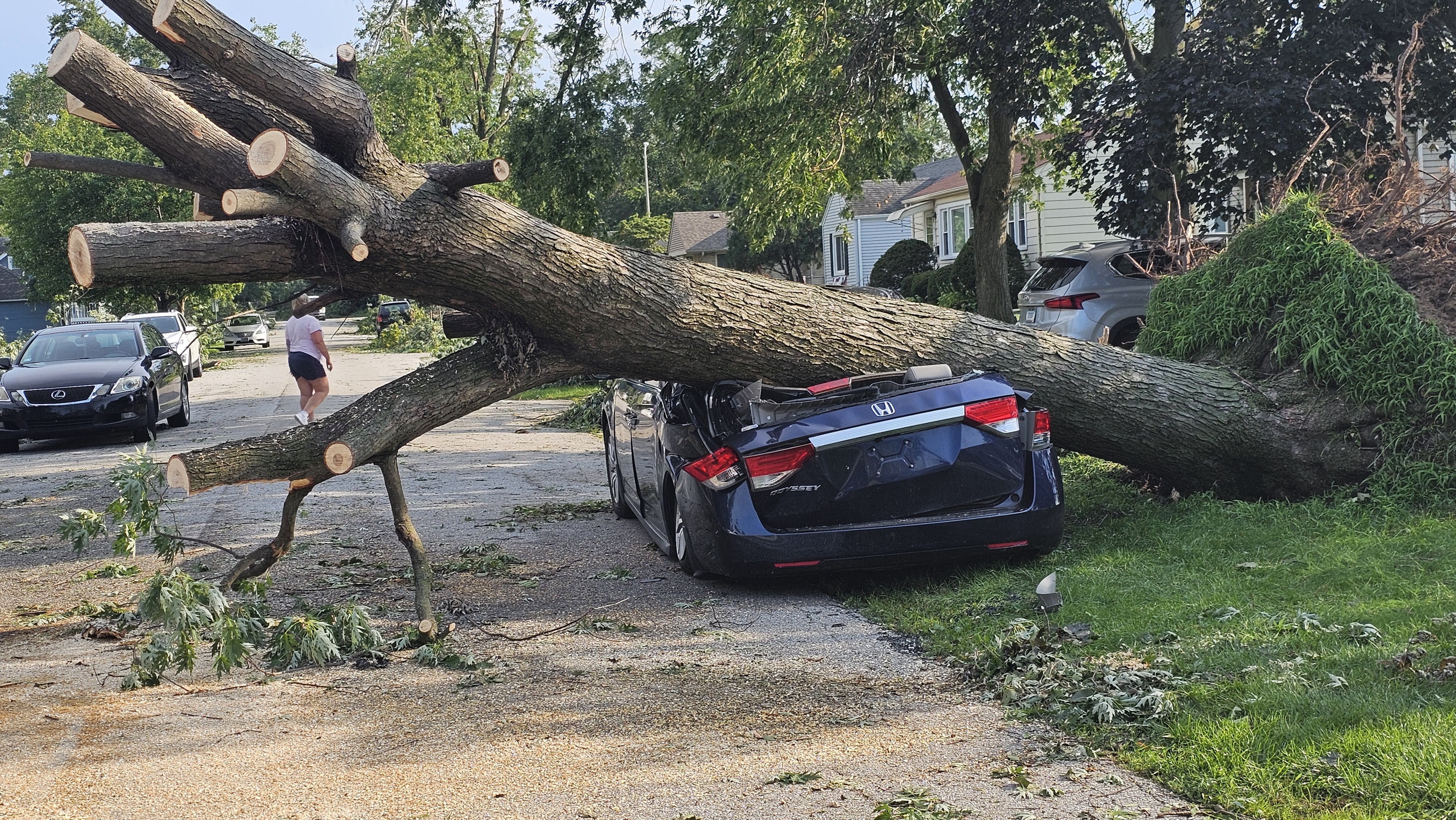 Brother's Neighbor