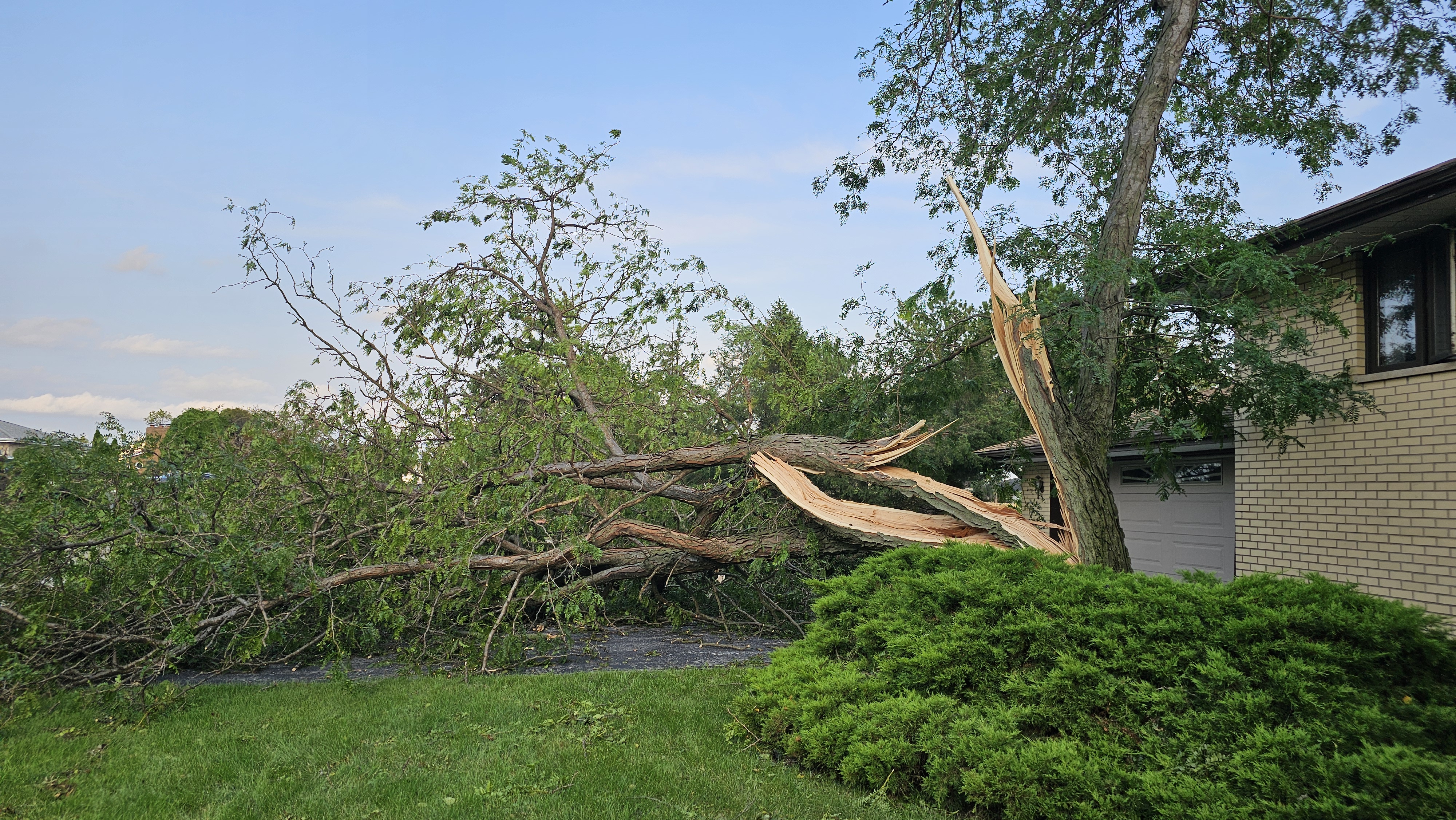 Mom's Driveway